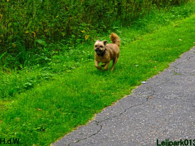 Leijpark013 9 augustus 2023 Beestenboel 