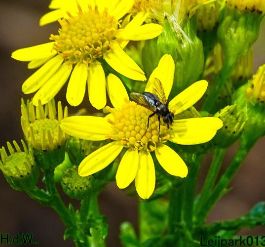 Leijpark013 9 &amp; 10 &amp; 11 &amp; 12 augustus 2023 