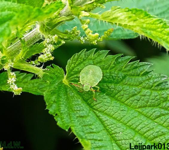 Leijpark013 9 &amp; 10 &amp; 11 &amp; 12 augustus 2023 