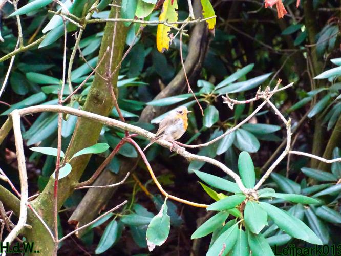 Leijpark013 9 &amp; 10 &amp; 11 &amp; 12 augustus 2023 