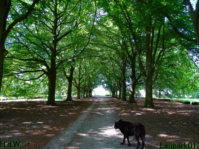 Leijpark013 9 &amp; 10 &amp; 11 &amp; 12 augustus 2023 