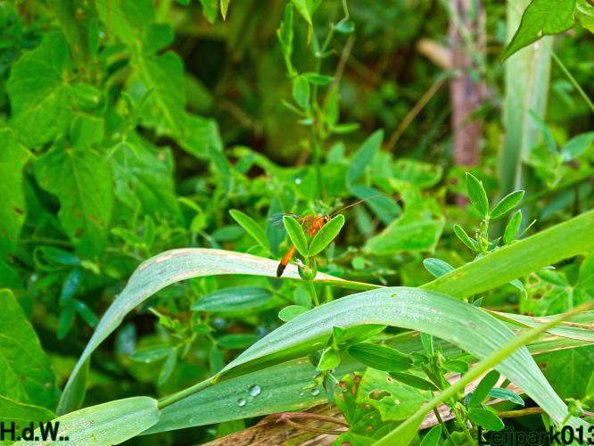 Leijpark013 9 &amp; 10 &amp; 11 &amp; 12 augustus 2023 