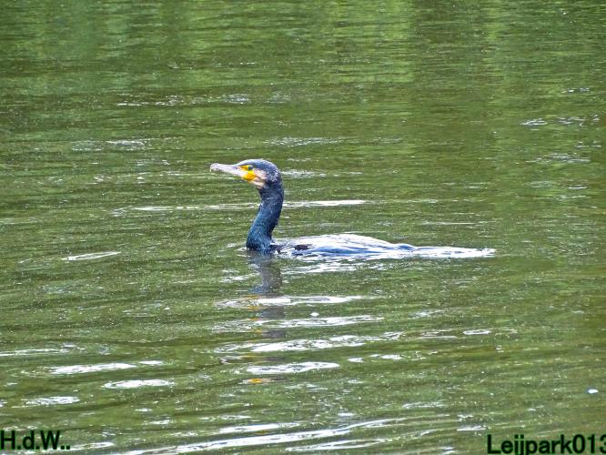 Leijpark013 9 &amp; 10 &amp; 11 &amp; 12 augustus 2023 