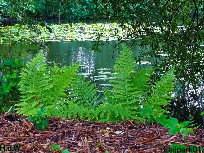 Leijpark013 9 &amp; 10 &amp; 11 &amp; 12 augustus 2023 