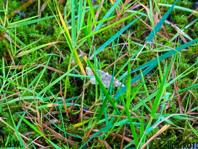 Leijpark013 9 &amp; 10 &amp; 11 &amp; 12 augustus 2023 