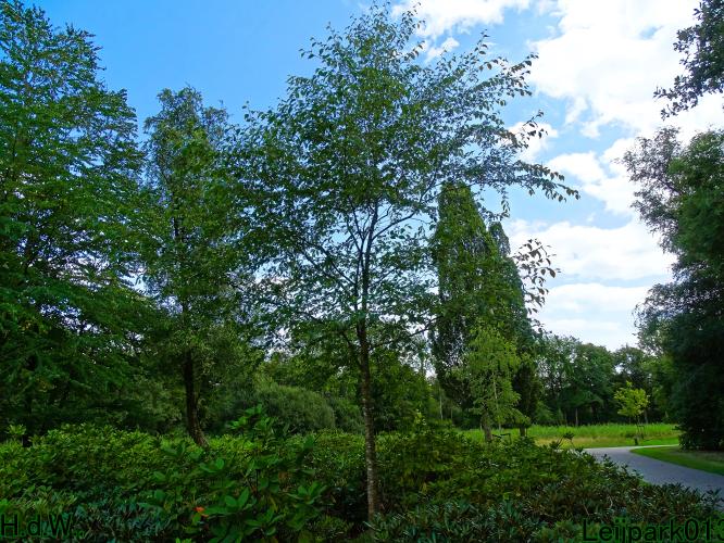 Leijpark013 9 &amp; 10 &amp; 11 &amp; 12 augustus 2023 