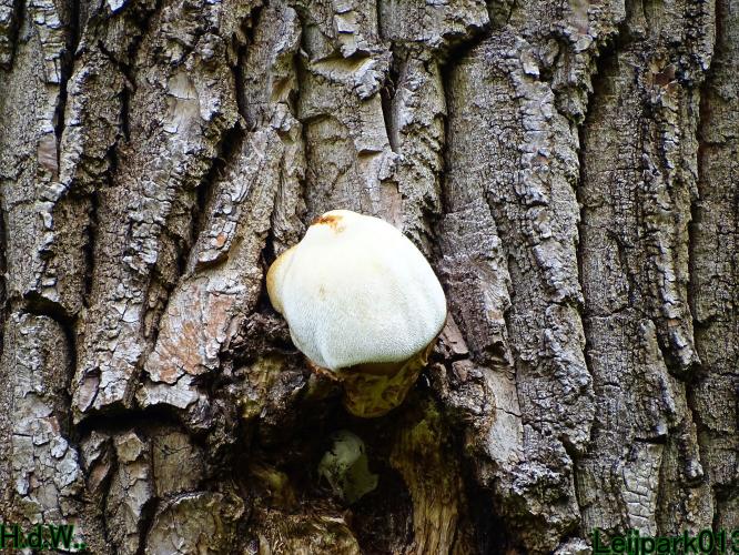 Leijpark013 9 &amp; 10 &amp; 11 &amp; 12 augustus 2023 