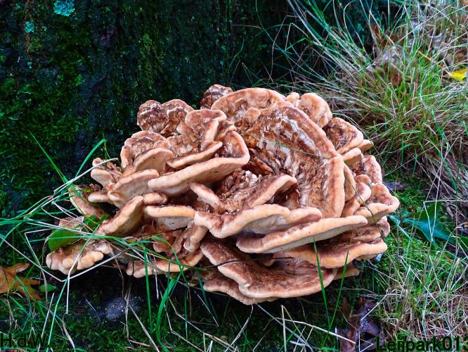 Leijpark013  13 &amp; 14 &amp; 15 &amp; 16 augustus 2023 