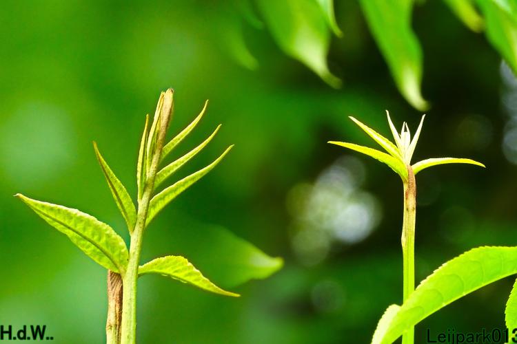 Leijpark013  13 &amp; 14 &amp; 15 &amp; 16 augustus 2023 