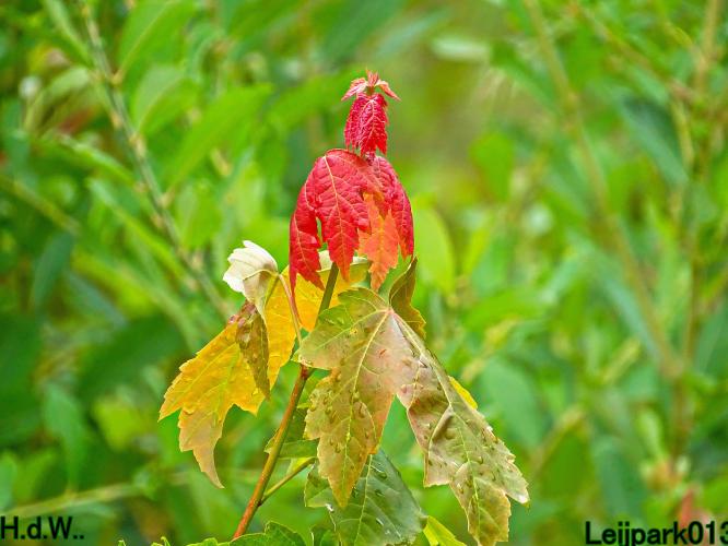 Leijpark013  13 &amp; 14 &amp; 15 &amp; 16 augustus 2023 