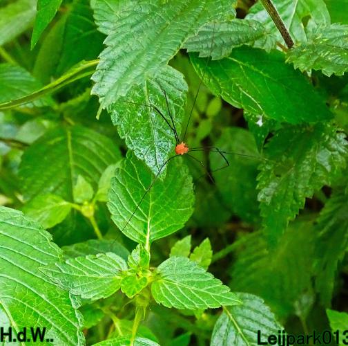 Leijpark013  13 &amp; 14 &amp; 15 &amp; 16 augustus 2023 