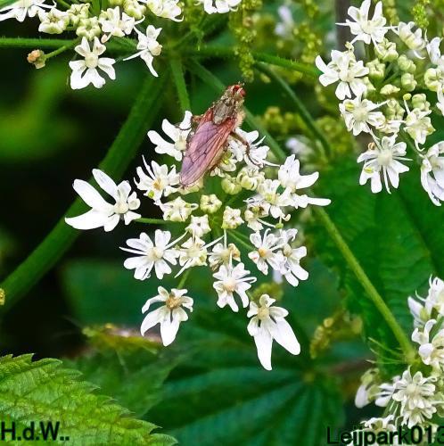 Leijpark013  13 &amp; 14 &amp; 15 &amp; 16 augustus 2023 