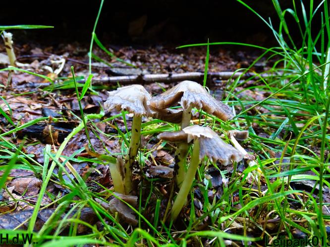 Leijpark013  13 &amp; 14 &amp; 15 &amp; 16 augustus 2023 