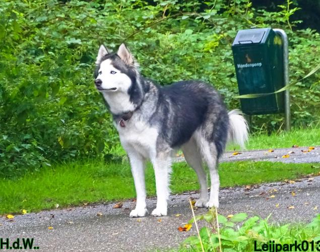 Leijpark013 Beestenboel 23-8-2023 