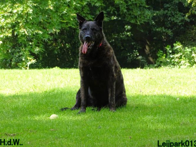 Leijpark013 Beestenboel 23-8-2023 