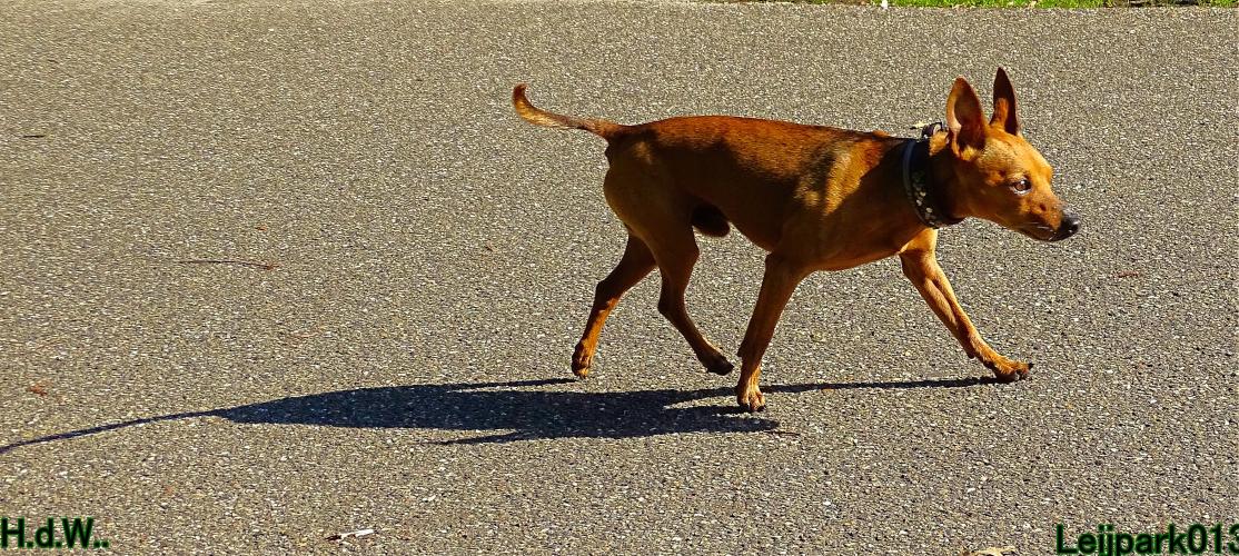 Leijpark013 Beestenboel 23-8-2023 