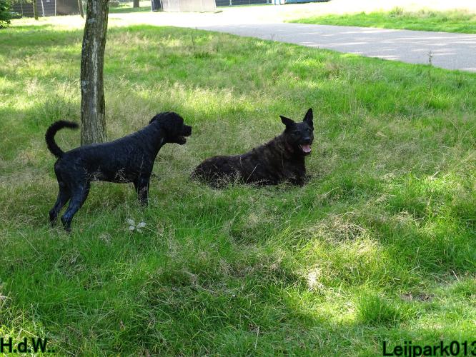 Leijpark013 Beestenboel 23-8-2023 