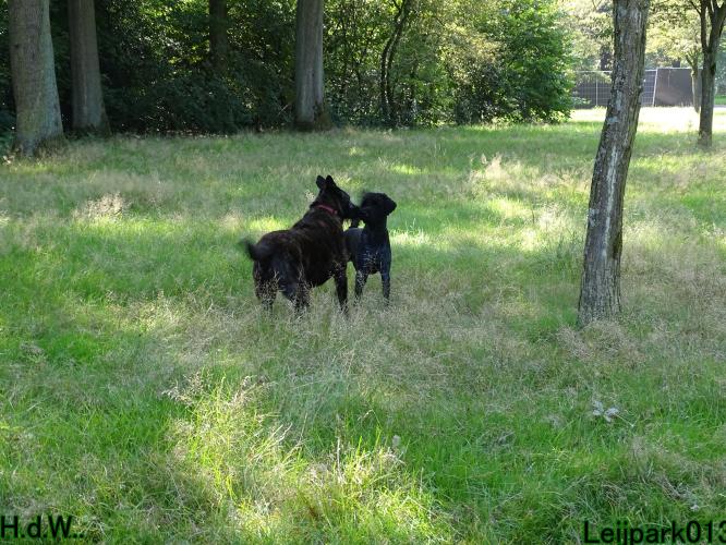 Leijpark013 Beestenboel 23-8-2023 