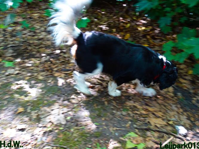 Leijpark013 Beestenboel 23-8-2023 