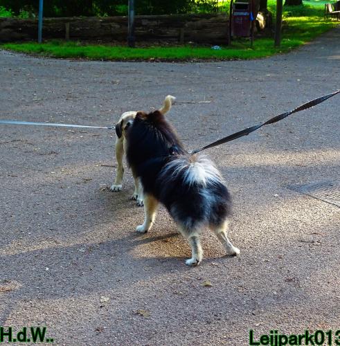 Leijpark013 Beestenboel 23-8-2023 