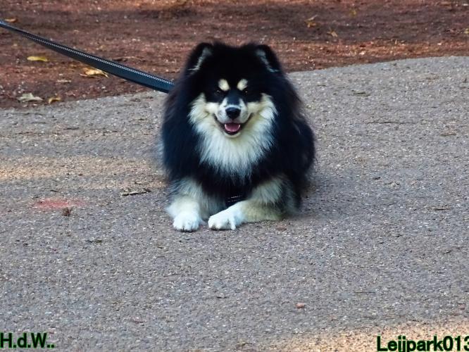 Leijpark013 Beestenboel 23-8-2023 