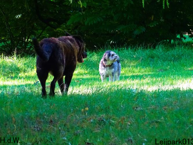 Leijpark013 Beestenboel 23-8-2023 