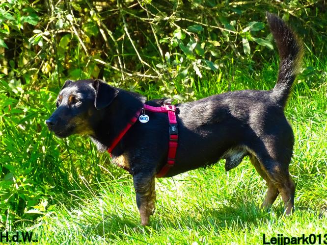 Leijpark013 Beestenboel 23-8-2023 