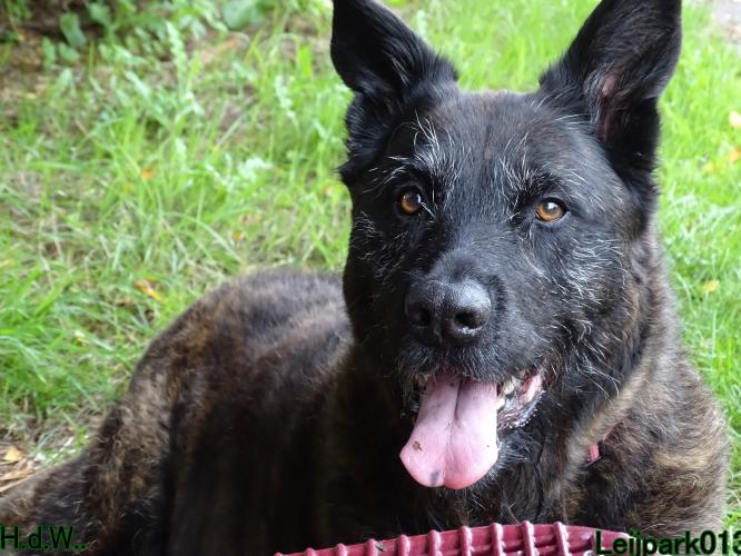 Leijpark013 Beestenboel 23-8-2023 