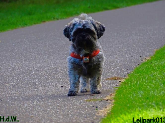 Leijpark013 Beestenboel 23-8-2023 