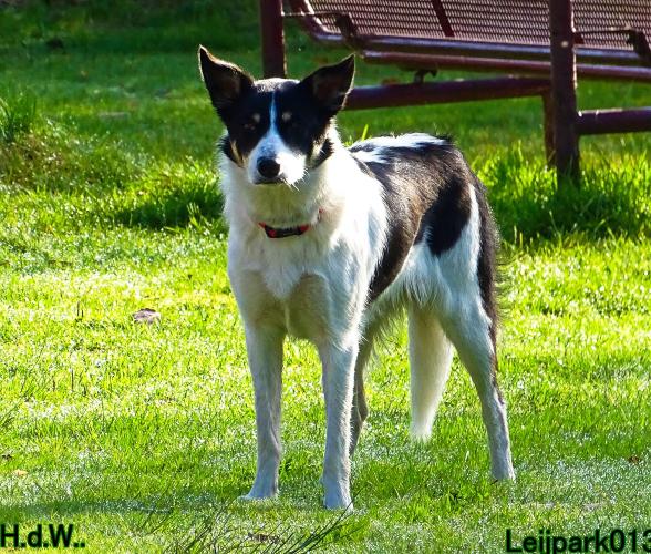 Leijpark013 Beestenboel 23-8-2023 