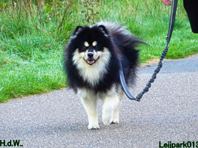 Leijpark013 Beestenboel 23-8-2023 