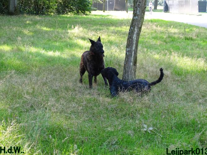 Leijpark013 Beestenboel 23-8-2023 