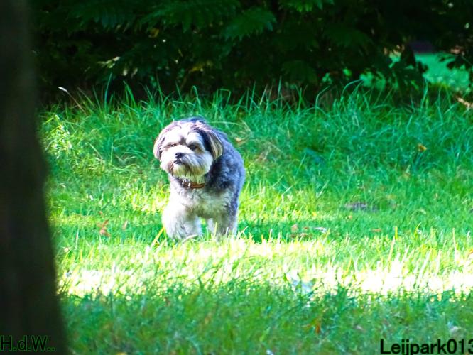 Leijpark013 Beestenboel 23-8-2023 