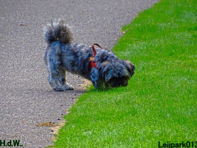 Leijpark013 Beestenboel 23-8-2023 