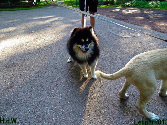 Leijpark013 Beestenboel 23-8-2023 