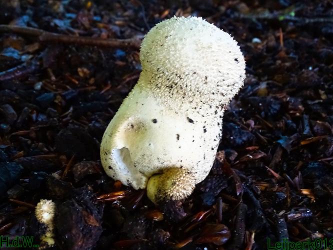 Leijpark013 21 &amp; 22 &amp; 23 &amp; 24 augustus 2023 