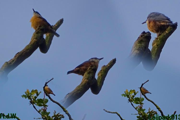 Leijpark013 21 &amp; 22 &amp; 23 &amp; 24 augustus 2023 