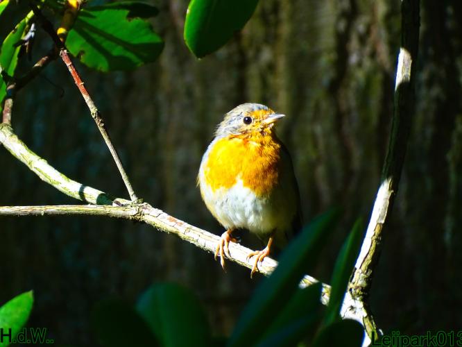 Leijpark013 21 &amp; 22 &amp; 23 &amp; 24 augustus 2023 