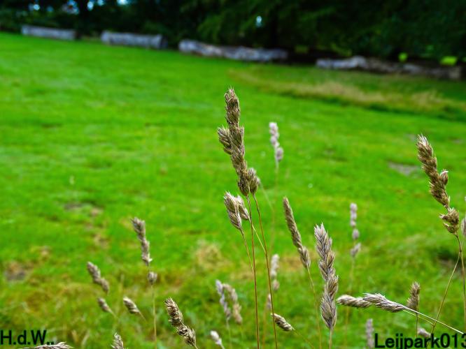 Leijpark013 21 &amp; 22 &amp; 23 &amp; 24 augustus 2023 