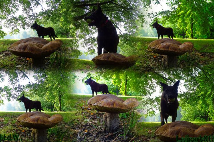 Leijpark013 21 &amp; 22 &amp; 23 &amp; 24 augustus 2023 