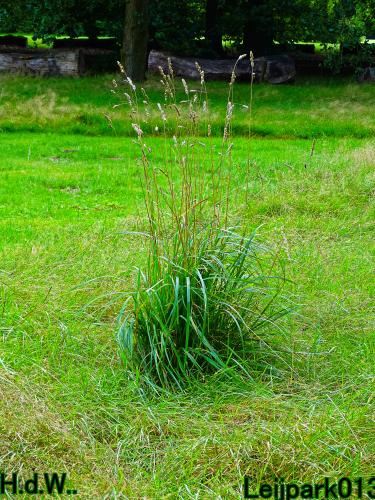 Leijpark013 21 &amp; 22 &amp; 23 &amp; 24 augustus 2023 