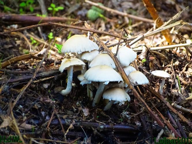 Leijpark013 21 &amp; 22 &amp; 23 &amp; 24 augustus 2023 