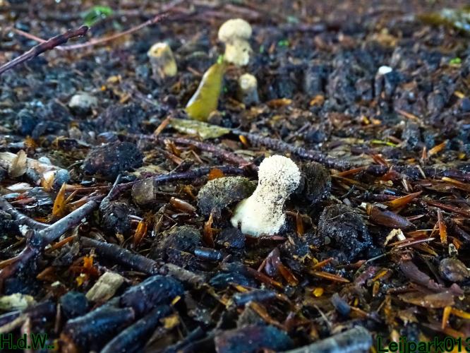 Leijpark013 21 &amp; 22 &amp; 23 &amp; 24 augustus 2023 