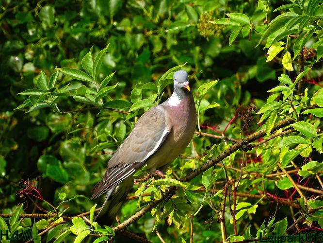 Leijpark013 21 &amp; 22 &amp; 23 &amp; 24 augustus 2023 