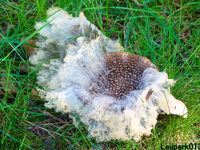 Leijpark013     2 &amp; 3 &amp; 4 &amp; 5 seotember 2023 