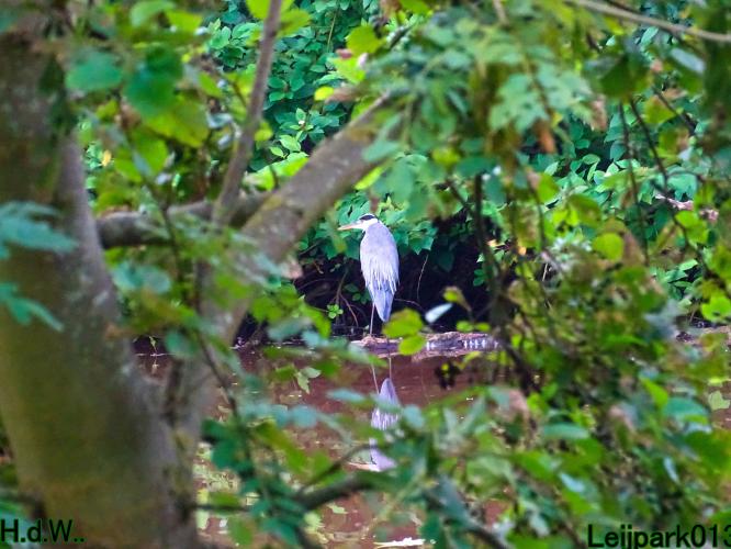 Leijpark013     2 &amp; 3 &amp; 4 &amp; 5 seotember 2023 