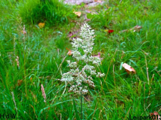 Leijpark013     2 &amp; 3 &amp; 4 &amp; 5 seotember 2023 