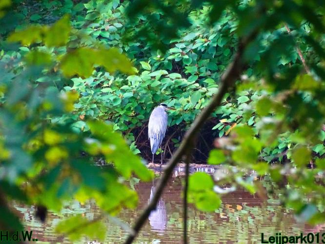 Leijpark013     2 &amp; 3 &amp; 4 &amp; 5 seotember 2023 