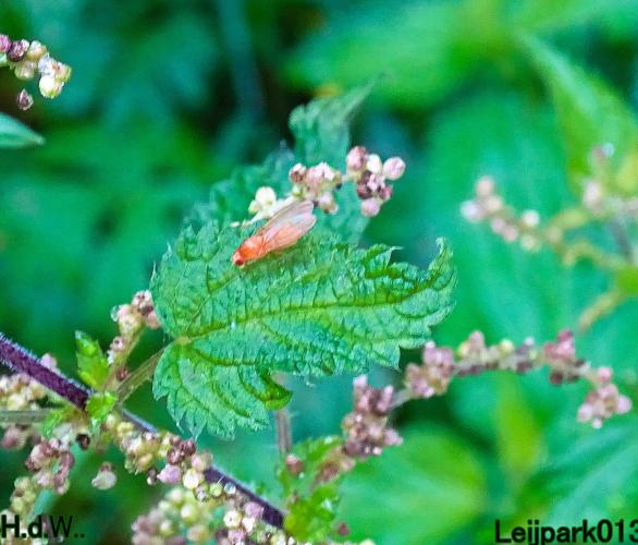 Leijpark013     2 &amp; 3 &amp; 4 &amp; 5 seotember 2023 