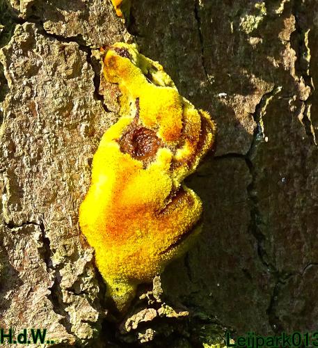 Leijpark013 14 &amp; 15 &amp; 16 &amp; 17 september 2023